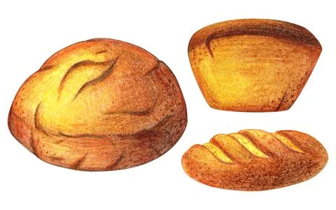 Watercolor Bread set illustration. Different type of bread. Daily Fresh organic Stock Illustration