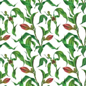 Watercolor bright seamless pattern with red alstroemeria buds and leaves Stock Illustration