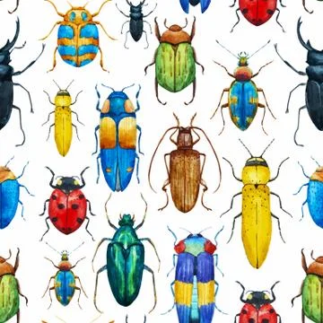 Watercolor bug beetle pattern イラスト素材