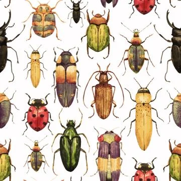 Watercolor bug beetle pattern Stock Illustration