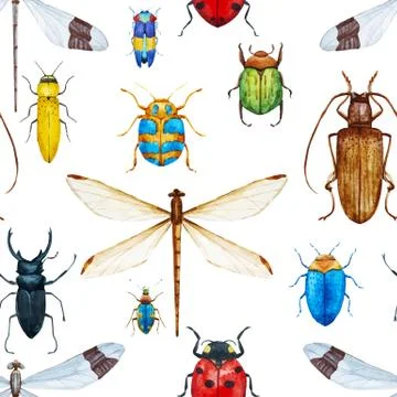 Watercolor bug beetle pattern Stock Illustration