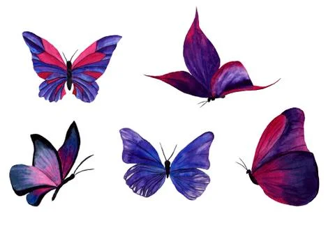 Watercolor butterflies on a transparent background Stock Illustration