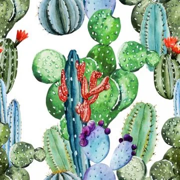 Watercolor cactus pattern Stock Illustration
