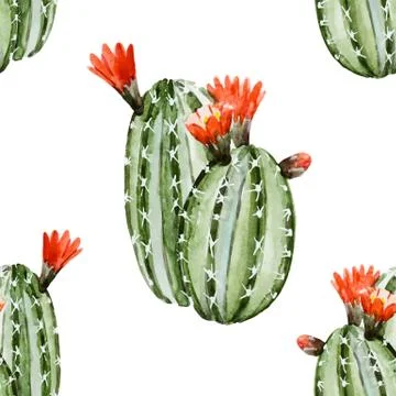 Watercolor cactus pattern Stock Illustration