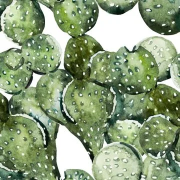 Watercolor cactus pattern Stock Illustration