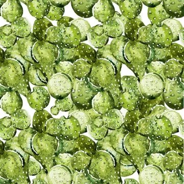 Watercolor cactus pattern Illustrazione stock