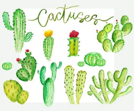 Watercolor cactus set Stock-Illustration