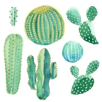 Watercolor Cactus Set Stock Illustration