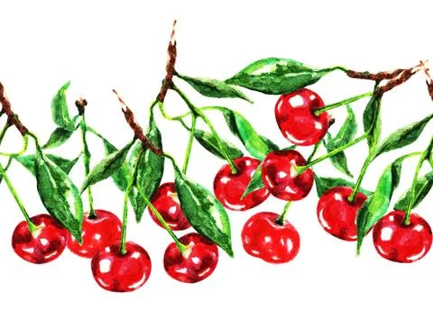 Watercolor cherry pattern 스톡 일러스트