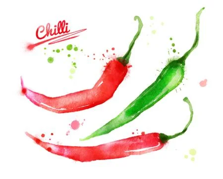 Watercolor chilli. Stock Illustration