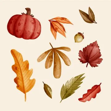Watercolor collection of autumn elements Stock Illustration