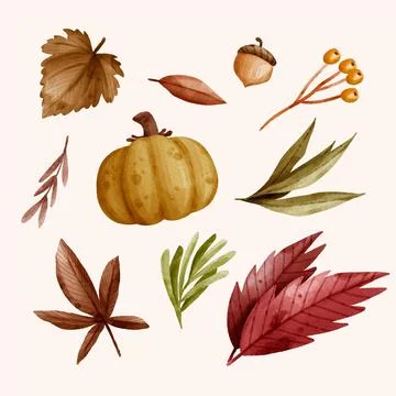 Watercolor collection of autumn elements Illustrazione stock