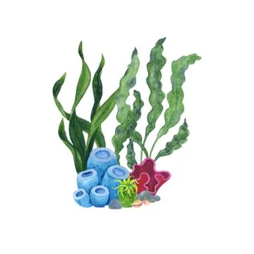 Watercolor composition with algae corals and fish. Stock Illustration
