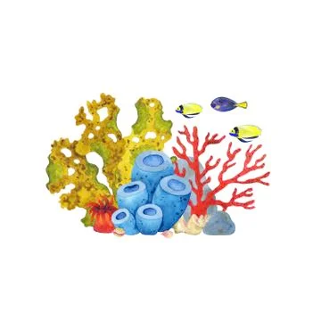 Watercolor composition with algae corals and fish. Stock Illustration