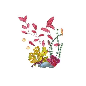 Watercolor composition with algae, corals and sea animals. Stock Illustration