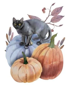Watercolor composition with pumpkins, cat and leaves. Stock Illustration