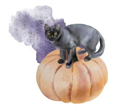 Watercolor composition with pumpkins, stain and cat. Stock Illustration