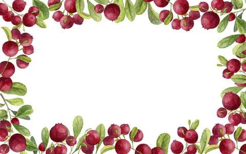 Watercolor cranberry frame Stock Illustration