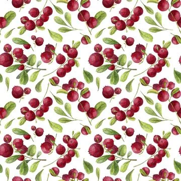 Watercolor cranberry pattern Stock Illustration