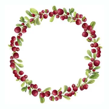 Watercolor cranberry wreath Stock Illustration