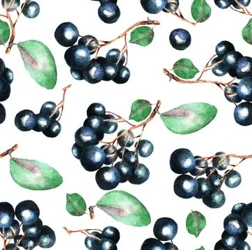Watercolor a currant branch, pattern Stock Illustration