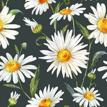 Watercolor daisy pattern Stock Illustration