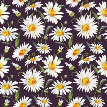 Watercolor daisy pattern Stock Illustration
