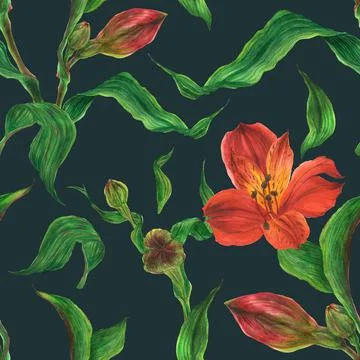 Watercolor dark seamless pattern with red alstroemeria buds and flowers Stock Illustration