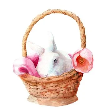 Watercolor drawing for Easter. Rabbit in a basket Stock Illustration