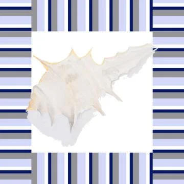 Watercolor drawing of a seashell Stock Illustration