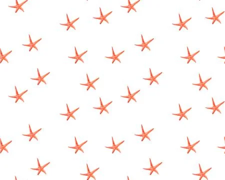 Watercolor drawing of a starfish Stock Illustration