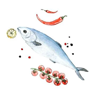 Watercolor drawn fish in a composition Stock Illustration