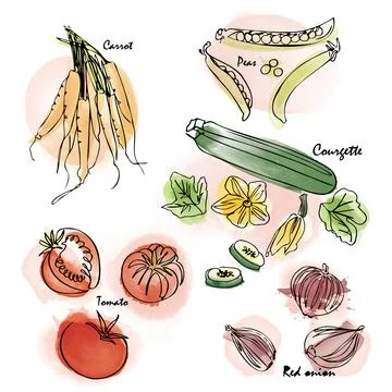 Watercolor effect vegetable vector icon set. Digital painting and hand-drawn Illustrazione stock