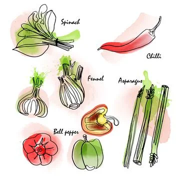 Watercolor effect vegetable vector icon set. Digital painting and hand-drawn  Stock Illustration