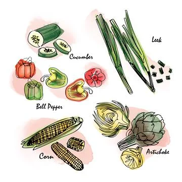 Watercolor effect vegetable vector icon set. Digital painting and hand-drawn  Stock Illustration