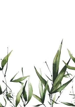 Watercolor exotic greenery vertical rectangular frame. Green bamboo branches Stock Illustration
