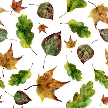 Watercolor fall leaves seamless pattern. Hand painted oak, maple, aspen fall 스톡 일러스트