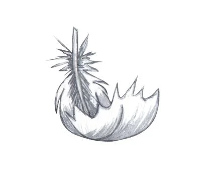 Watercolor feather. Hand drawn white feathers isolated on white background Stock Illustration