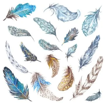 Watercolor Feathers Set Stock Illustration