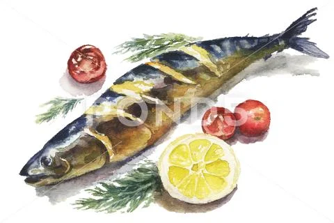 Watercolor fish and vegetables illustration Stock Illustration