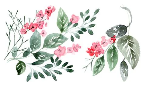 Watercolor floral arrangments Stock Illustration