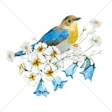 Watercolor floral composition Stock Illustration