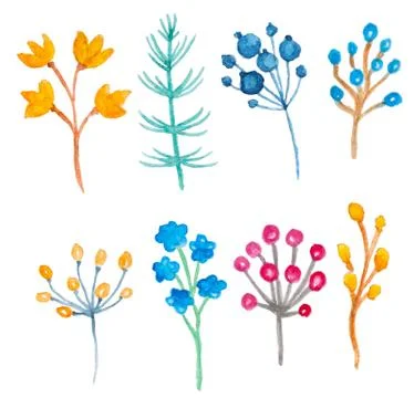 Watercolor floral elements Stock Illustration