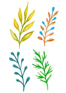 Watercolor floral elements Stock Illustration