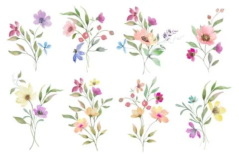 Watercolor floral elements set, hand painted botanical clipart. Vector EPS 스톡 일러스트