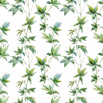 Watercolor floral pattern Illustrazione stock
