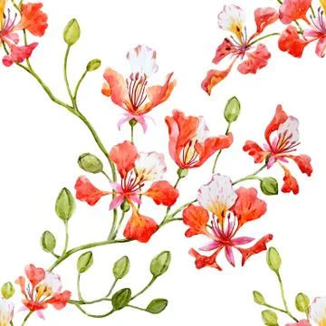 Watercolor floral pattern Stock Illustration
