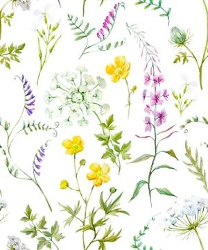 Watercolor floral pattern Stock Illustration
