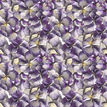 Watercolor floral seamless pattern. Hydrangea violet flowers. Stock Illustration