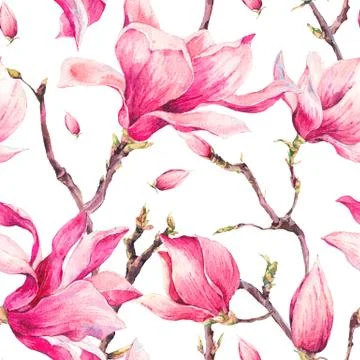 Watercolor Floral Spring Seamless Pattern with Magnolia Stock Illustration